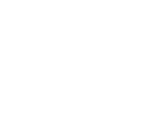 category_icon